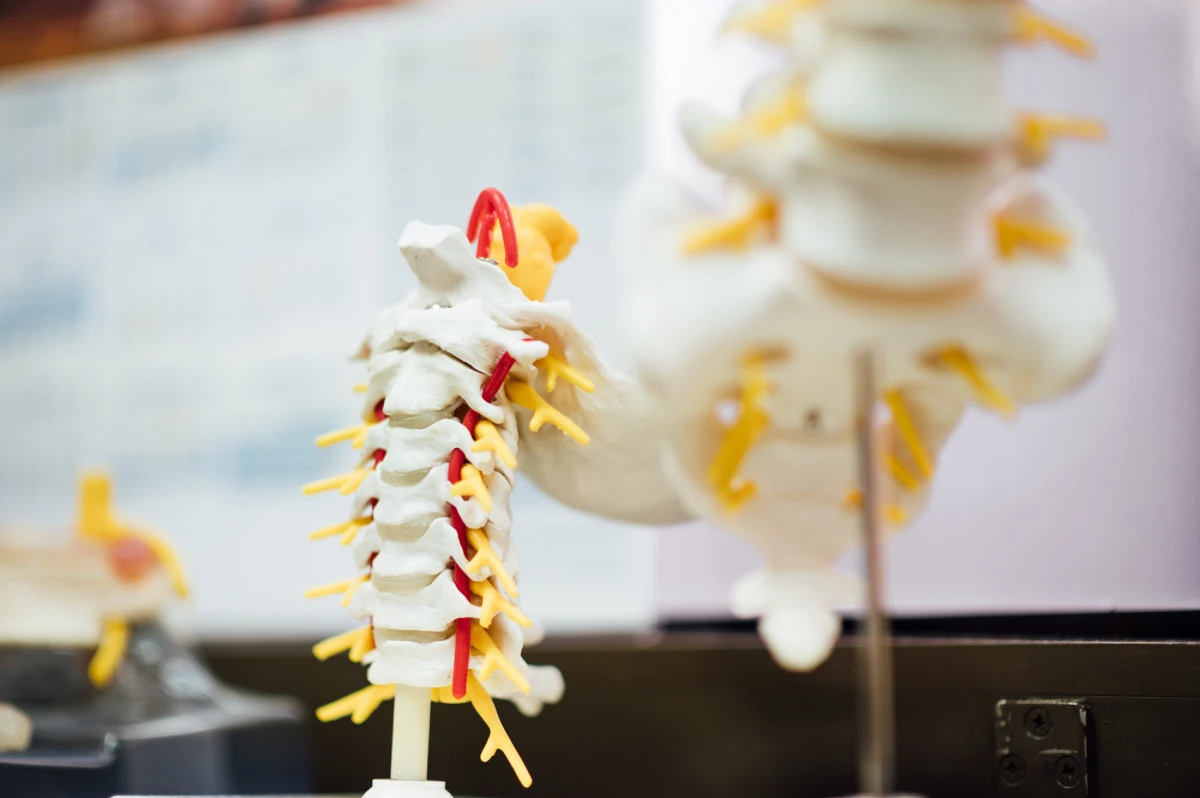 Subluxation - Queanbeyan & Canberra | Provolution Health