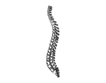 Disc Injuries - Queanbeyan & Canberra | Provolution Health